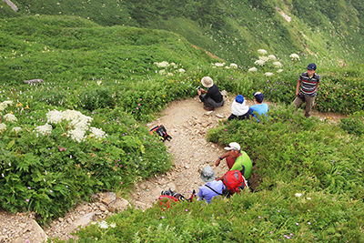 お花畑に囲まれた登山道で休憩中の写真