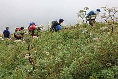 雲がわき始めた登山道を登っている写真