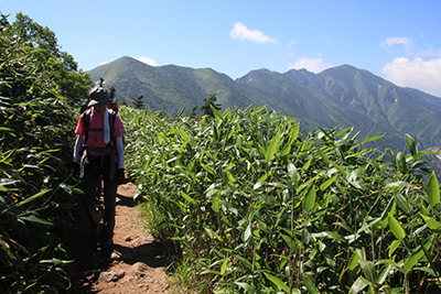 別山を背に南竜道を下山している写真