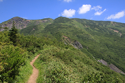 観光新道から見た白山方面の写真