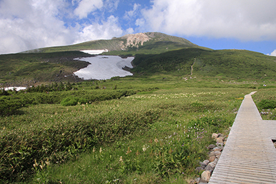弥陀ヶ原と御前峰の写真