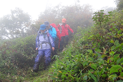 急な木の階段の登山道を下っている写真