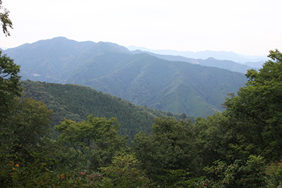 手前の御林山と浅間尾根、遠くは鷹巣山と六ッ石山が見えている写真