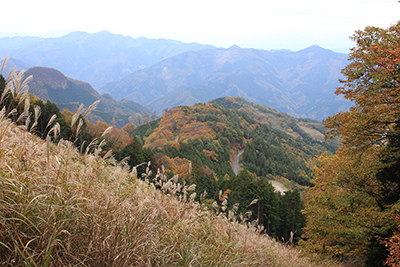 ススキ原と城峯山方面の写真