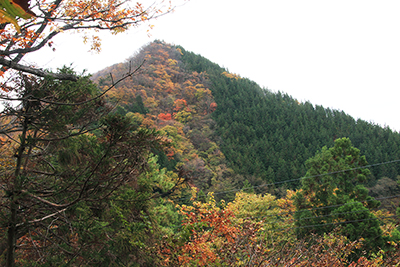 西御荷鉾山方面から見た東御荷鉾山方面の写真