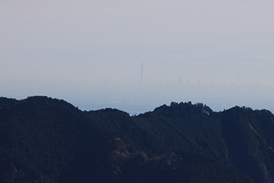 途中で見えたスカイツリーと池袋の高層ビル群の写真