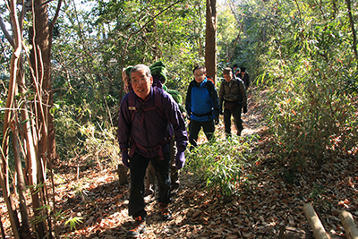 あたたかな日差しを受けて登山道を登っている写真