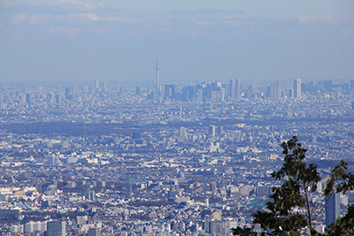 スカイツリーと都心の高層ビル群の写真