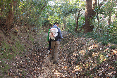 大楠山山頂から前田橋に向けて下山している写真