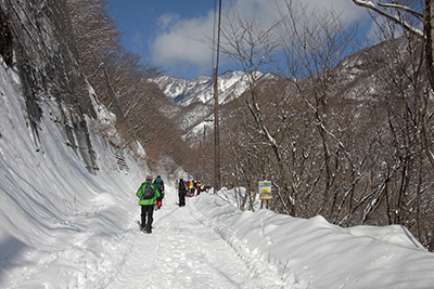 前日積もった雪の林道を歩いている写真
