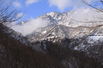 帰りの林道から見た午後の女峰山の写真