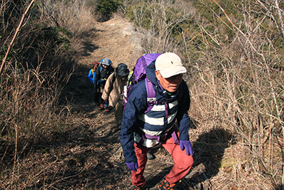 登山道を登っている写真
