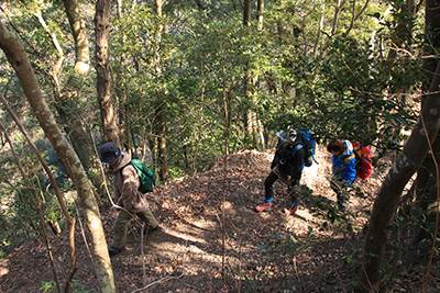 少しジグザグの山道を登っている写真