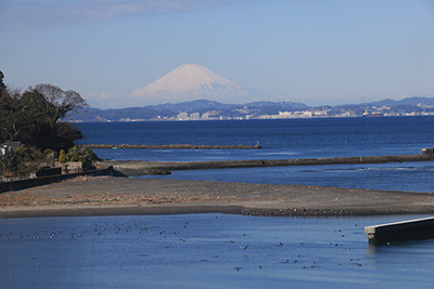内房線の車窓から見た浦賀水道と富士山の写真
