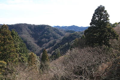 伊予ヶ岳、富山方面の写真