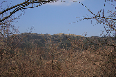 星ヶ山方面の写真