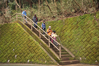 登山道を終えて車道への階段を下りている写真