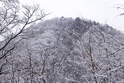 展望台のある仏果山の写真