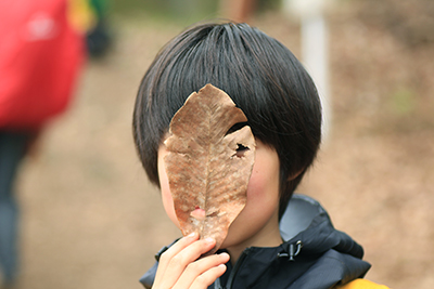 ホオバに顔を隠すKRちゃんの写真