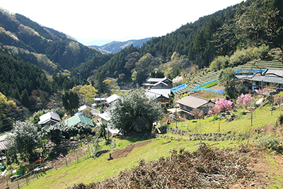 山里の写真