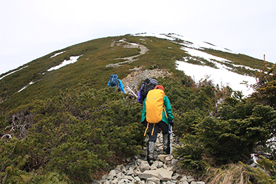 丸山を越え独標への登山道を登っている写真