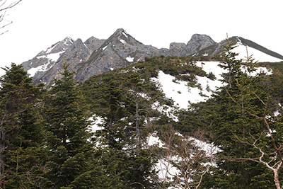 西穂山荘の手前から見た独標とピラミッドピークの写真