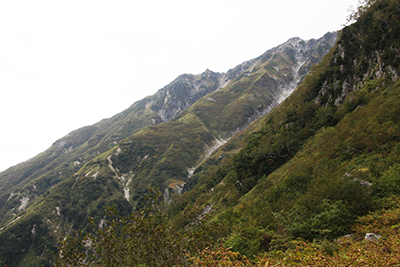 抜戸岳方面の山腹の写真
