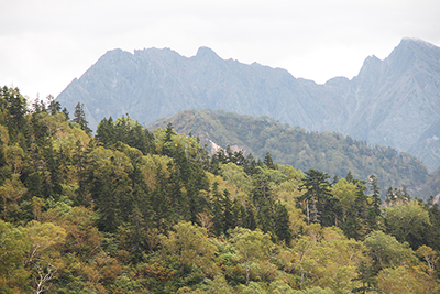 シシウドが原から見た北穂高岳と涸沢岳の写真