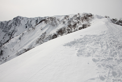 小遠見山までの尾根の写真
