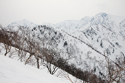 五竜岳と鹿島槍ヶ岳の写真