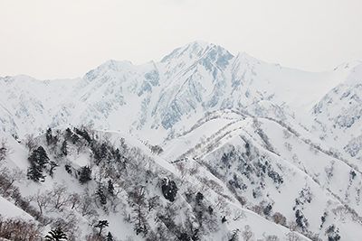 五竜岳と遠見尾根の写真