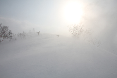 ブリザードにかすむ小遠見山の写真