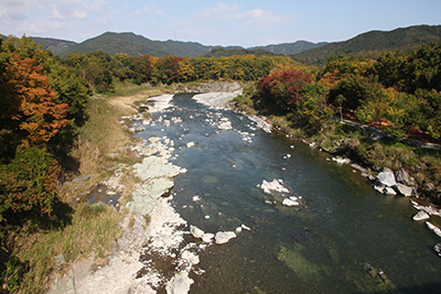 金石水管橋から見た荒川下流の写真