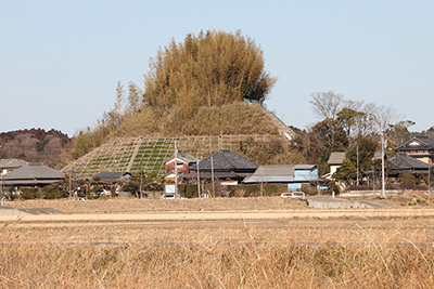 岡野てっぺんだけが竹林になっている写真