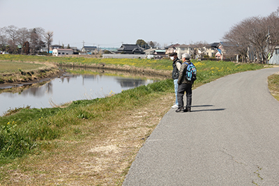 緩やかに流れる大落古利根川の畔を歩いている写真