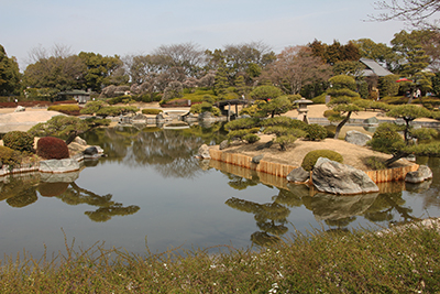 日本庭園の写真