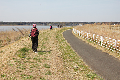 サイクリングロードと平行した土手を歩いている写真