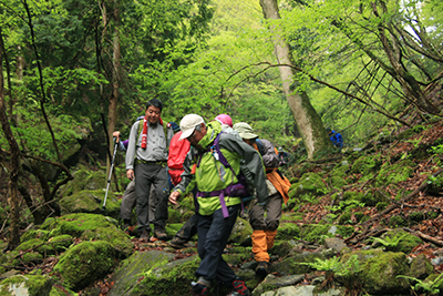 新緑が美しい沢沿いの山道を下っている写真