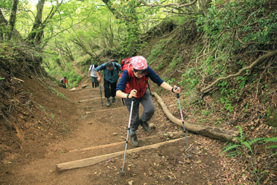 大山山頂直下の階段を登っている写真