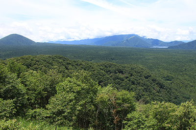 青木ヶ原樹海と大室山、竜ヶ岳、本栖湖の写真