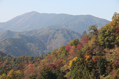 紅葉した尾根と権現山の写真