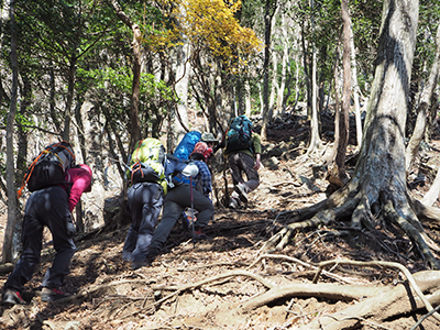 Ｉさんが撮影した山頂への急坂を登っている写真