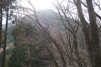 振り返ってみた大きな権現山の写真