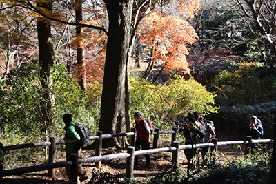 まだ紅葉している能仁寺の中を歩いている写真