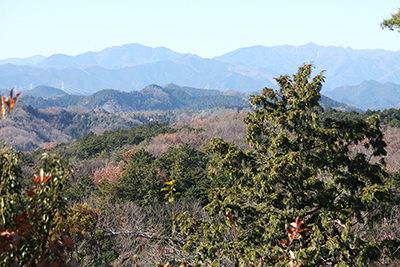 川苔山と蕎麦粒山方面の写真