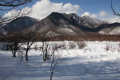 小田代が原と白根山方面の写真