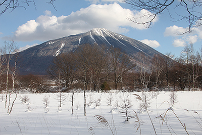 戦場ヶ原と男体山の写真