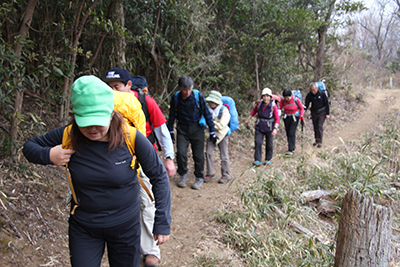 歩きやすい登山道を歩いている写真