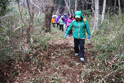 イノシシが掘り返した登山道を歩いている写真