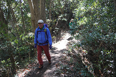 木漏れ日の暖かい登山道を歩いている写真